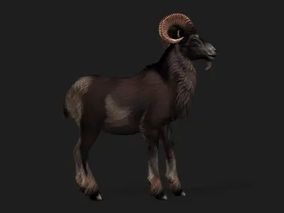 Goat-B2 3D model