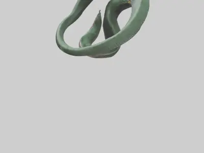 Bushmaster Snake statue model Low-poly 3D model
