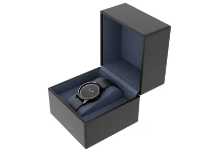 Watch with case 3D model