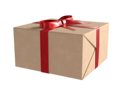 Wrapped Gift Box PBR 09 3D model