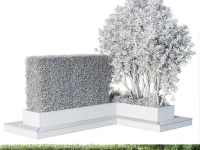 Garden plants set in a box - outdoor set 162 Low-poly 3D model