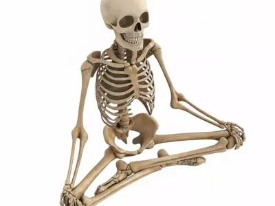 3D Model Halloween Skeleton Decoration Realistic Human Skeleton Low-poly 3D model