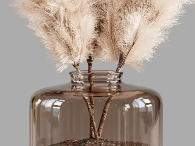 Pampas For Interior 3D model