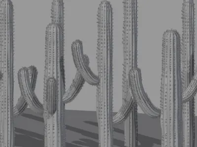 CACTUS MODELING IN BLENDER 3D model