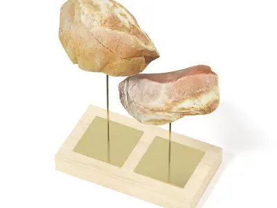 Rock Samples 3D model