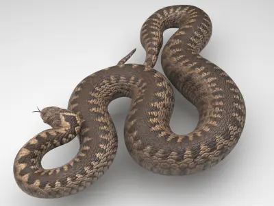 Snake 3D model
