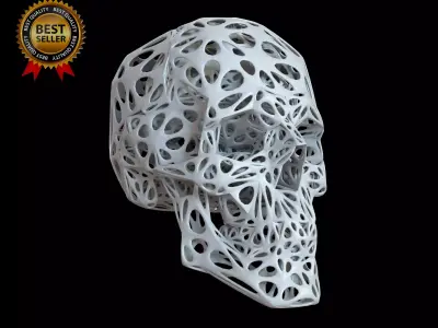 Organic Skull 3D Print model STL Lattice 3D print model