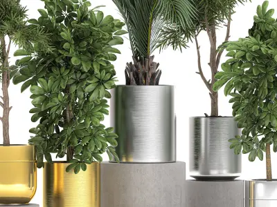 Ornamental plants in a chrome flowerpot 784 3D model