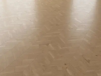  Parquet Oak Natural Brushed set 6 3D model