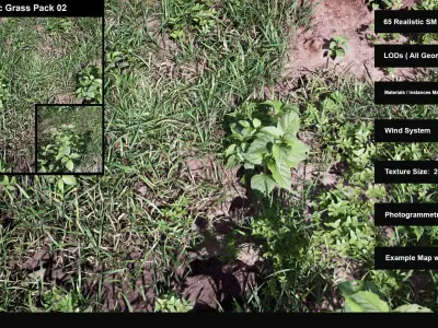 Realistic Grass Pack 02 - Unreal Engine 4  Low-poly 3D model