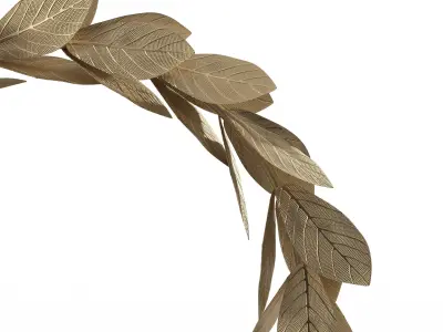 Gold Metal Leaves Wreaths 3D model