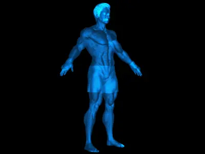 Male Asian BOX - MMA Fighter   3D model
