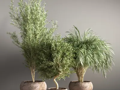 indoor plant stand 20 3D model