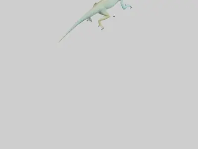 Bonaire Whiptail Lizard running model 3D model