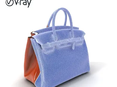 Luxury Handbag D Model Pack Low-poly 3D model