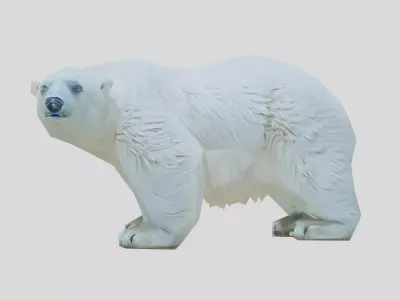 Polar Bear Realistic Fur Detailed 3D Model Low-poly 3D model