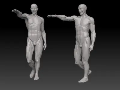 Houdon Ecorche  3D model
