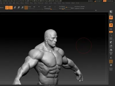 buff male white 3D model