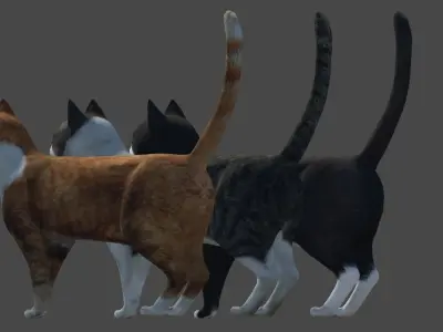 Cat lowpoly  Low-poly 3D model