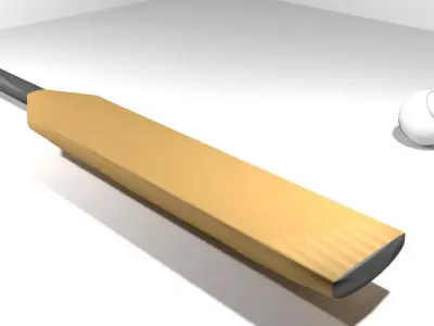Sport Equipment - Cricket 3D model