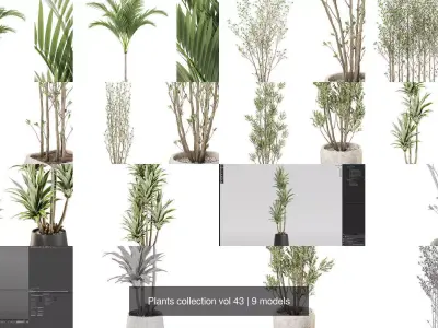 Plants collection vol 43