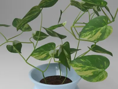 Small Potus Free 3D model