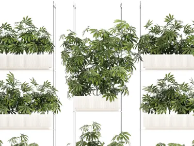 Garden plantation Bushes Hemp Marijuana Cannabis 1428 3D model