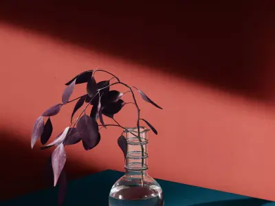 Eucaliptus flower 3D model