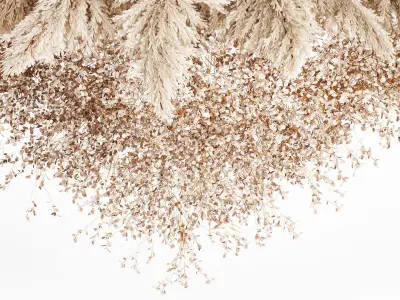 Hanging Installation Bouquet Dried Flowers Branch Lunaria pampas 3D model