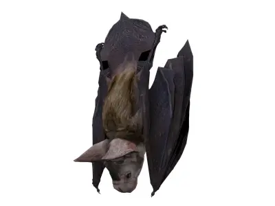 Vampire Bat Animated Low-poly 3D model