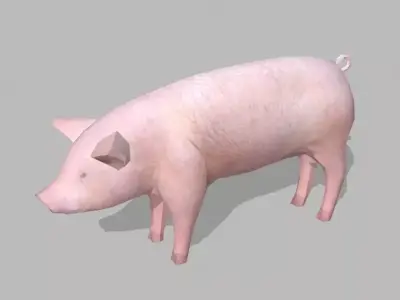 farm pig Low-poly 3D model
