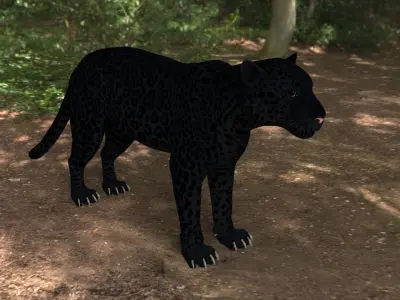 black panther Low-poly 3D model purchase