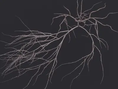 Thin Branch Low-poly 3D model