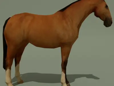 LowPoly Horse A Buckskin Low-poly 3D model
