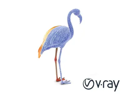 Flamingo Bird Natural Pink model pack Low-poly 3D model