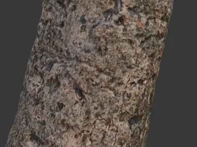 Realistic 3D Scanned Tree Trunk with Moss  Low-poly 3D model