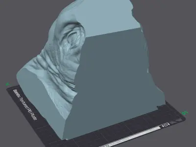 Elephant Wall Decoration Medium 3D Print Model 3D print model