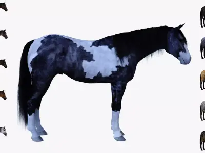 Maya horse bundle  3D model