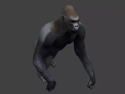 Gorilla Low-poly 3D model get