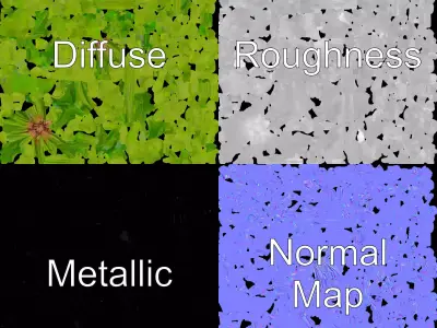 Green Seed Pods model pack Low-poly 3D model