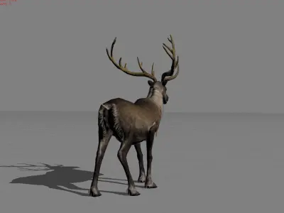 Rain Deers Animal Low-poly 3D model