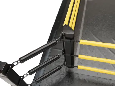 Wrestling Ring REGULATION SIZE 3D model