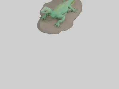Lacerta Lizard resting model Low-poly 3D model