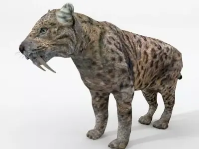 Saber-toothed Tiger Low-poly 3D model