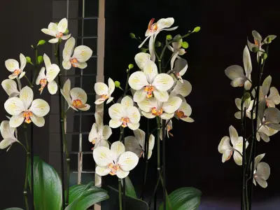 Decorative vase set 3D model