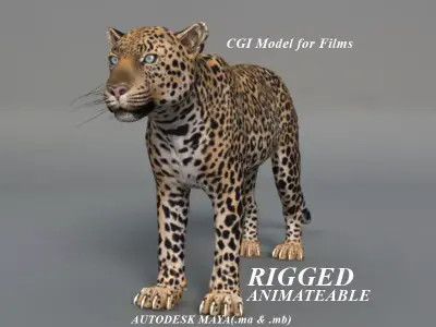 Rigged Leopard Maya 3D Model with 2K Textures 3D model