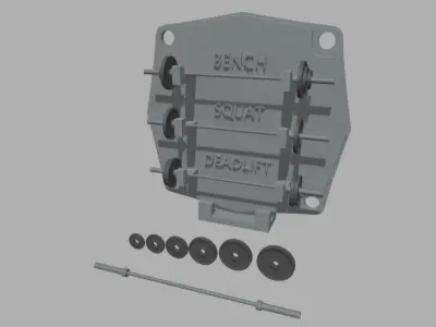 Gym Weights Personal Record 3D print model