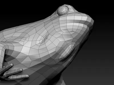 3D FROG - LOWPOLY Low-poly 3D model