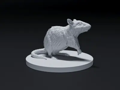 rat animal 3D print model
