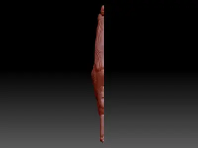  Cock  bird 3D print model